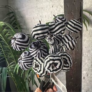 Striped Black and White Decorative Halloween Pumpkin Picks 5
Piece Lot NWT